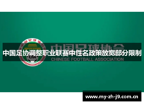 中国足协调整职业联赛中性名政策放宽部分限制